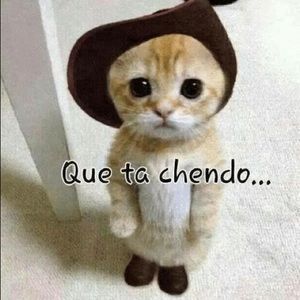 Meet your Posher, Carol